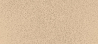 Terra